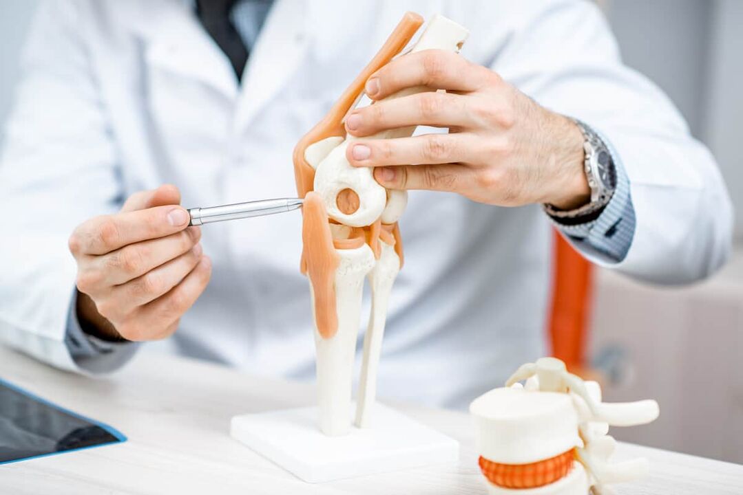 Modelul articulației genunchiului, permițându-vă să evaluați structura acesteia